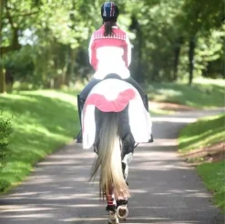 Equisafety Charlotte Dujardin Reflective Mercury Riding Jacket -Exquisite Equestrian Equipment Store mercury pink 2 4 jpg
