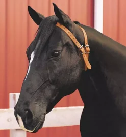 Miracle Cribbing Collar -Exquisite Equestrian Equipment Store miracle cribbing collar jpg