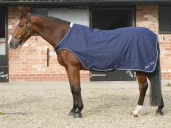 Mark Todd Horse Walker/Lunge Rug