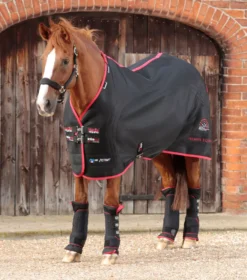 Premier Equine Nano-Tec Infrared Horse Rug 38 Premier Equine Nano-Tec Infrared Horse Rug -Exquisite Equestrian Equipment Store nano tec infrared rug 2 1 6 jpg