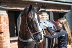 Equilibrium Massage Pad -Exquisite Equestrian Equipment Store new xl pad 2