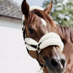 Kentucky Horsewear Nylon Sheepskin Halter Soft