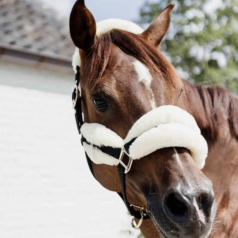 Kentucky Horsewear Nylon Sheepskin Halter Soft 6 Kentucky Horsewear Nylon Sheepskin Halter Soft - Image 4