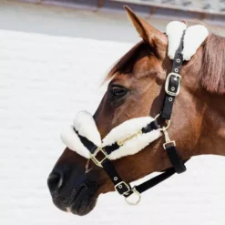 Kentucky Horsewear Nylon Sheepskin Halter Soft 12 Kentucky Horsewear Nylon Sheepskin Halter Soft -Exquisite Equestrian Equipment Store nylon sheepskin halter soft 1 1 jpg