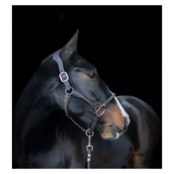 Cameo Equine Anatomic Leather Headcollar -Exquisite Equestrian Equipment Store p ana lea head col c230 10 1 1 jpg