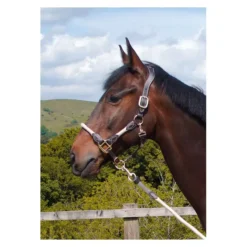 Cameo Equine Anatomic Leather Headcollar -Exquisite Equestrian Equipment Store p ana lea head col c230 14 1 jpg