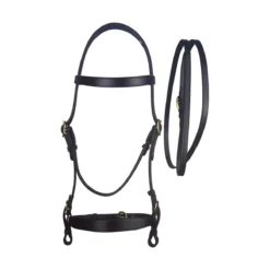 Cameo Equine Inhand Bridle And Lead