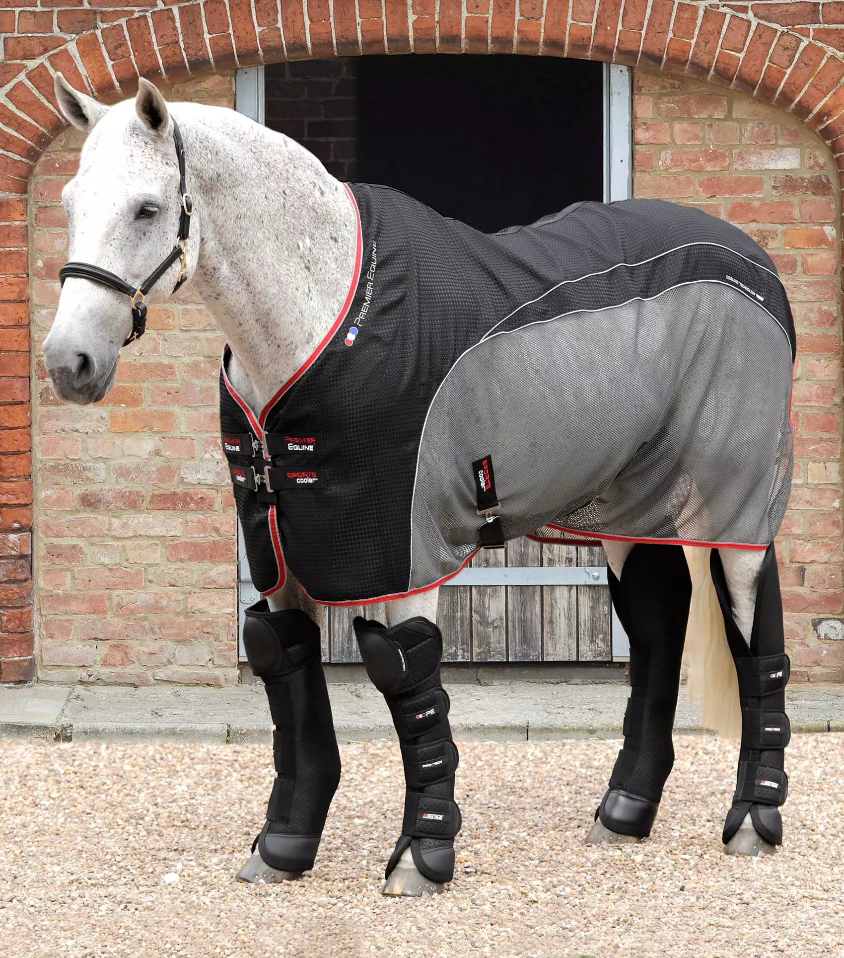 Premier Equine Sports Cooler Rug 5 Premier Equine Sports Cooler Rug - Image 3