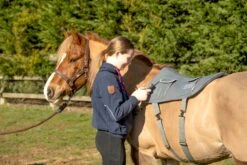 Equilibrium Massage Pad -Exquisite Equestrian Equipment Store pony massage pad in use scaled 1