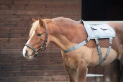 Equilibrium Massage Pad -Exquisite Equestrian Equipment Store pony massage pad scaled 1