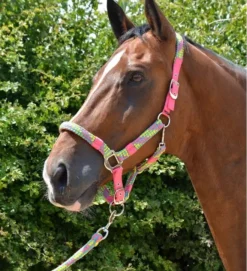 Hy Multicolour Adjustable Head Collar With Rope 26 Hy Multicolour Adjustable Head Collar With Rope -Exquisite Equestrian Equipment Store pr 26723 hy multicolour head collar and lead rope 02 1 jpg