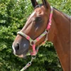 Hy Multicolour Adjustable Head Collar With Rope