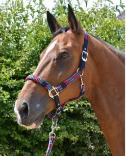 Hy Multicolour Adjustable Head Collar With Rope 32 Hy Multicolour Adjustable Head Collar With Rope -Exquisite Equestrian Equipment Store pr 26723 hy multicolour head collar and lead rope 06 1 1 jpg