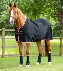 Premier Equine PremTex Horse Cooler Rug 29 Premier Equine PremTex Horse Cooler Rug -Exquisite Equestrian Equipment Store premtex cooler black 1 9 jpg