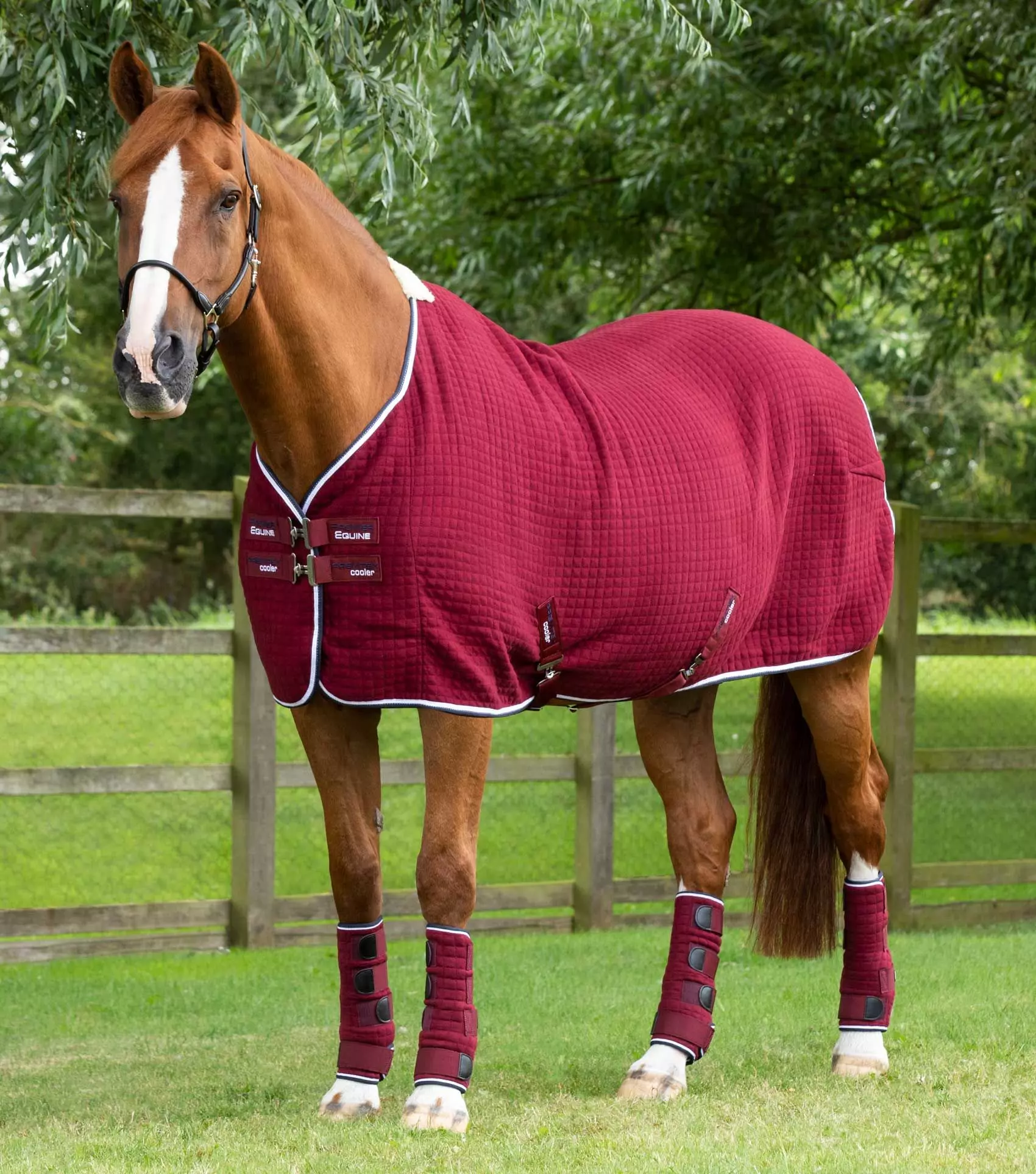 Premier Equine PremTex Horse Cooler Rug 15 Premier Equine PremTex Horse Cooler Rug - Image 13