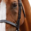 Premier Equine Primo Hunter Bridle -Exquisite Equestrian Equipment Store primo hunter bridle black 2alt 1 jpg