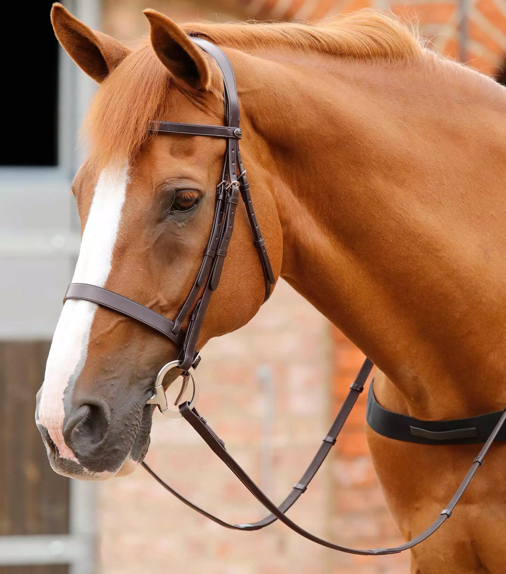 Premier Equine Primo Hunter Bridle 15 Premier Equine Primo Hunter Bridle - Image 13