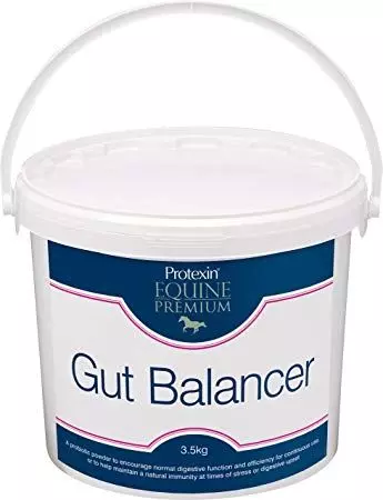 Protexin Gut Balancer 5 Protexin Gut Balancer - Image 3