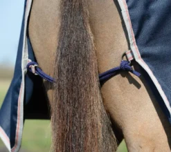 Weatherbeeta Essential Fleece Lined Quarter Sheet 26 Weatherbeeta Essential Fleece Lined Quarter Sheet -Exquisite Equestrian Equipment Store quarter2 4 jpg