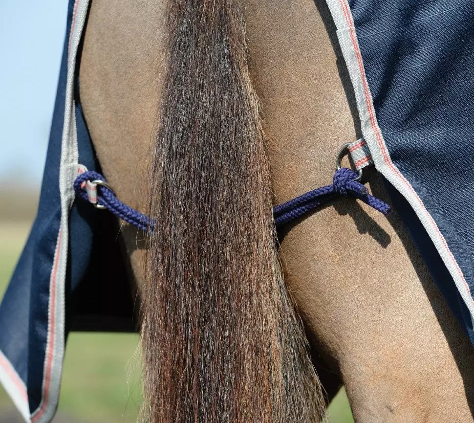 Weatherbeeta Essential Fleece Lined Quarter Sheet 12 Weatherbeeta Essential Fleece Lined Quarter Sheet - Image 10