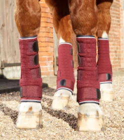 Premier Equine Quick Dry Horse Leg Wraps 39 Premier Equine Quick Dry Horse Leg Wraps -Exquisite Equestrian Equipment Store quick dry horse leg wraps 1 3 jpg