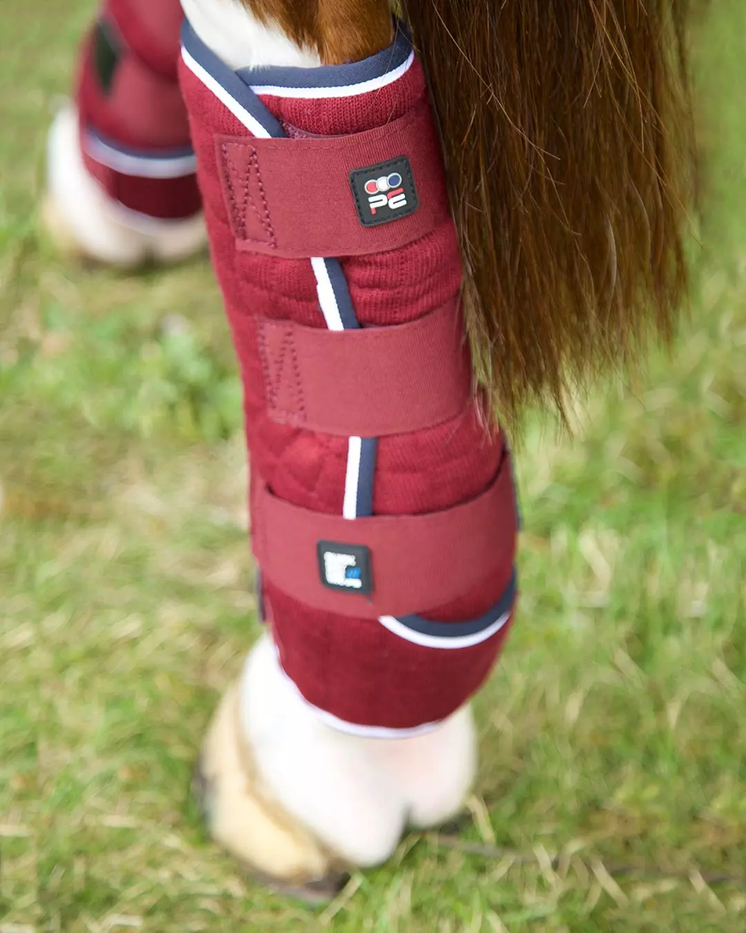 Premier Equine Quick Dry Horse Leg Wraps 19 Premier Equine Quick Dry Horse Leg Wraps - Image 17