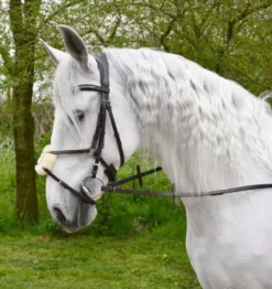 Rhinegold Softee Leather Anatomical Mexican Bridle -Exquisite Equestrian Equipment Store r132 web 1 7 jpg