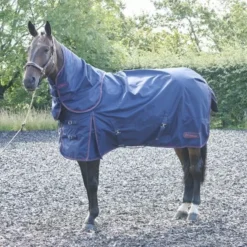 John Whitaker Rastrick 250g Combo Turnout Rug - Navy -Exquisite Equestrian Equipment Store r188 3 650x650 1 6 jpg