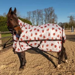 John Whitaker Ladybird Fly Rug -Exquisite Equestrian Equipment Store r294 lady bird fly rugweb 600x600 1 5 jpg