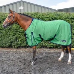 Whitaker R370 Allerton Cotton Sheet -Exquisite Equestrian Equipment Store r370 allerton green sq 600x600 1 2 jpg