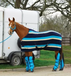 Rhinegold Elite Fleece Rug -Exquisite Equestrian Equipment Store rhinegold elite fleece rug aqua 7 jpg