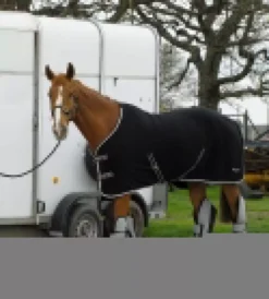 Rhinegold Elite Fleece Rug -Exquisite Equestrian Equipment Store rhinegold elite fleece rug black 8 jpg