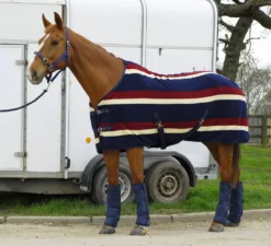 Rhinegold Elite Fleece Rug -Exquisite Equestrian Equipment Store rhinegold elite fleece rug burgundy navy 8 jpg
