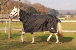 Rhinegold Torrent No Fill Full Neck Turnout Rug -Exquisite Equestrian Equipment Store rhinegold lightweight combo turnout black 3 jpg