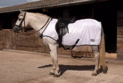 Rhinegold Ride-On Fly Rug 12 Rhinegold Ride-On Fly Rug -Exquisite Equestrian Equipment Store rhinegold ride on fly rug 4 jpg