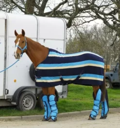 Rhinegold Ripstop Full Length Travel Boots - Set Of 4 41 Rhinegold Ripstop Full Length Travel Boots - Set Of 4 -Exquisite Equestrian Equipment Store rhinegold ripstop full travel boots turquoise a jpg