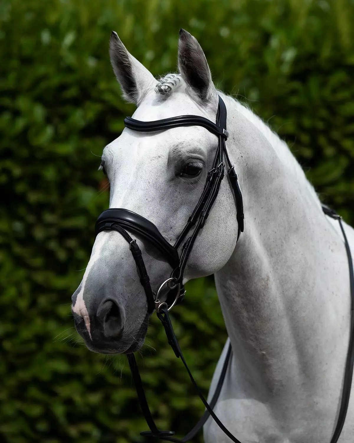 Premier Equine Rizzo Anatomic Snaffle Bridle With Flash 10 Premier Equine Rizzo Anatomic Snaffle Bridle With Flash - Image 8