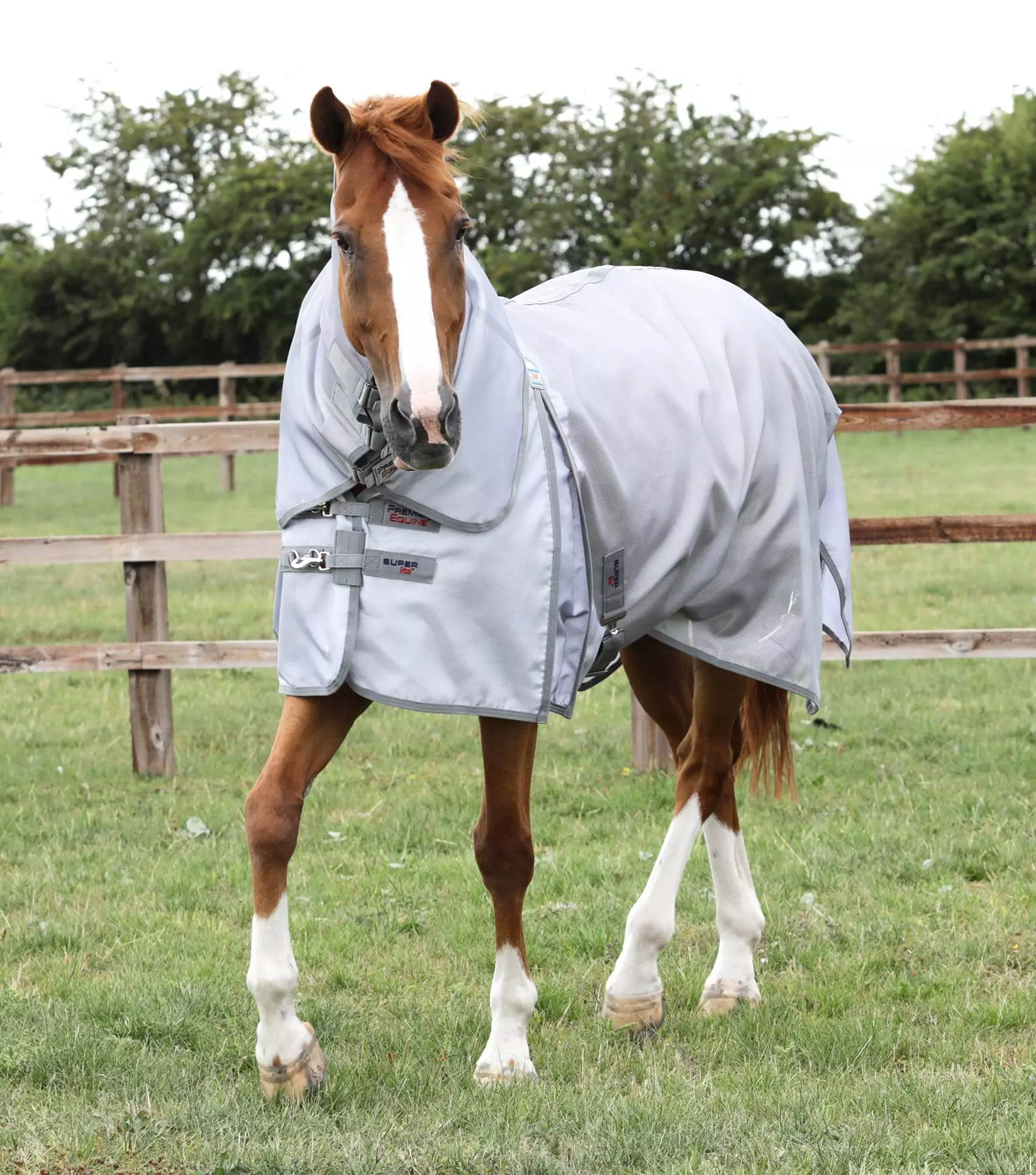 Premier Equine Super Lite Fly Rug With Surcingles 14 Premier Equine Super Lite Fly Rug With Surcingles - Image 12