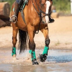 Equilibrium Tri-Zone All Sports Boots 28 Equilibrium Tri-Zone All Sports Boots -Exquisite Equestrian Equipment Store teal all sports set square 4 scaled 1 4