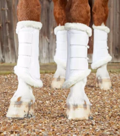 Premier Equine Techno Wool Brushing Boots 29 Premier Equine Techno Wool Brushing Boots -Exquisite Equestrian Equipment Store techno wool brushing boot white 2 3 jpg