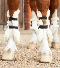 Premier Equine Techno Wool Tendon Boots 34 Premier Equine Techno Wool Tendon Boots -Exquisite Equestrian Equipment Store techno wool tendon boot white 2 2 jpg