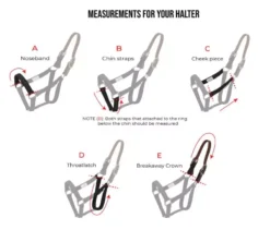 ThinLine Flexible Breakaway Field Safe Headcollar 30 ThinLine Flexible Breakaway Field Safe Headcollar -Exquisite Equestrian Equipment Store thinlinehaltermeasurementbanner 900x768 1 1 jpg