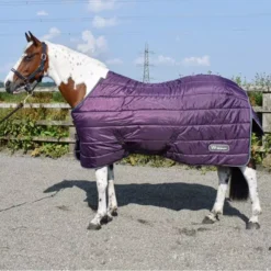 John Whitaker Thistle 200g Stable Rug - Plum -Exquisite Equestrian Equipment Store thistle stable sq 650x650 1 9 jpg