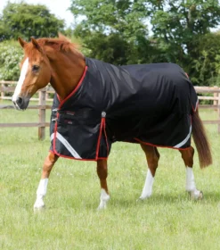 Premier Equine Titan 450g Original Turnout Rug 40 Premier Equine Titan 450g Original Turnout Rug -Exquisite Equestrian Equipment Store titan 450 original turnout rug black 1 5 jpg
