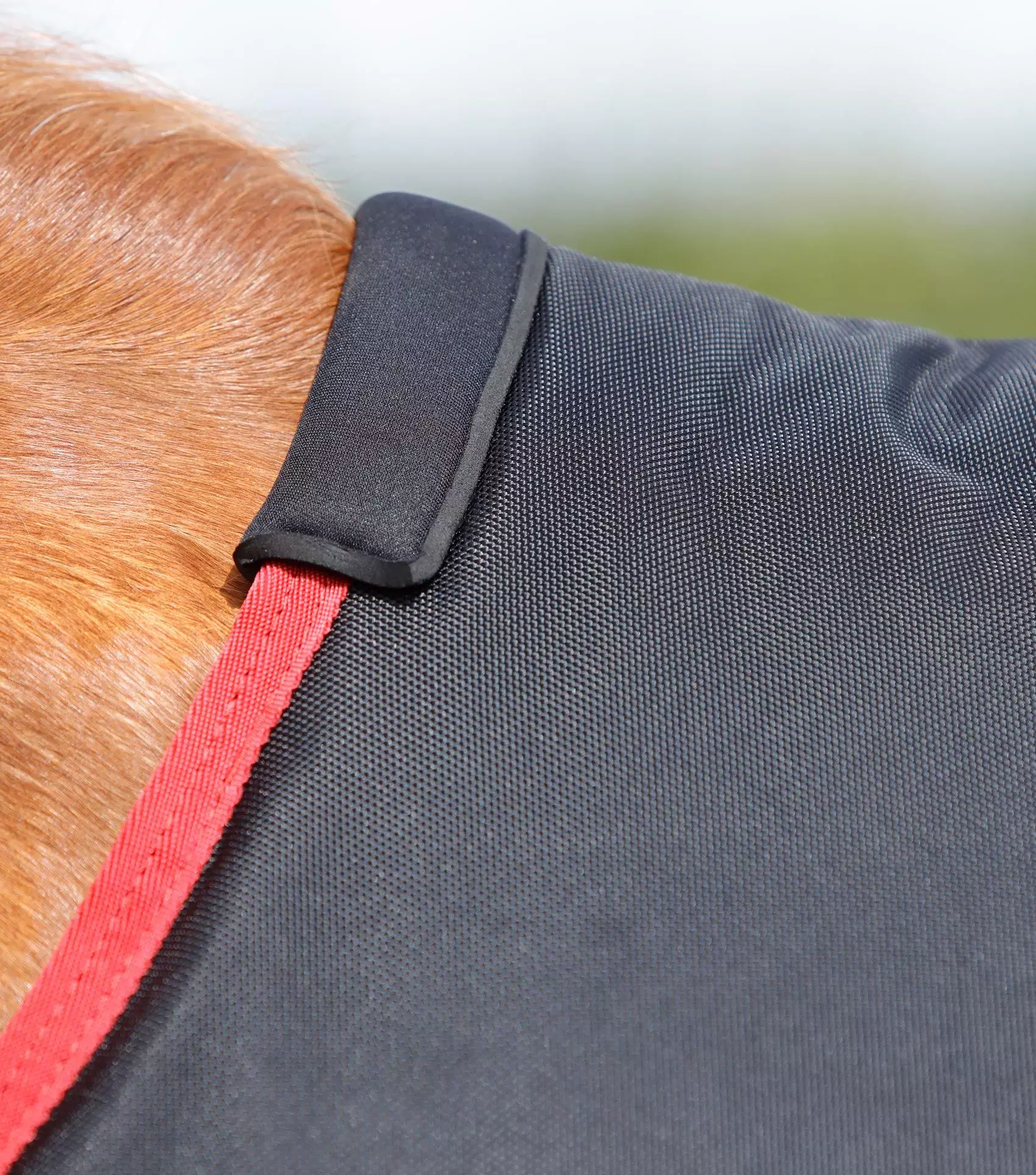 Premier Equine Titan 450g Original Turnout Rug 18 Premier Equine Titan 450g Original Turnout Rug - Image 16