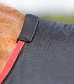 Premier Equine Titan 450g Original Turnout Rug 27 Premier Equine Titan 450g Original Turnout Rug -Exquisite Equestrian Equipment Store titan 450 original turnout rug black 2 3 jpg