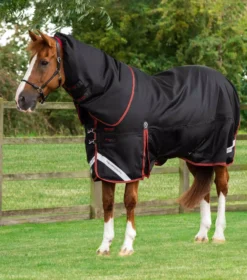 Premier Equine Titan 450g Turnout Rug With Snug-Fit Neck Cover -Exquisite Equestrian Equipment Store titan 450g heavyweight turnout rug black 1 5 jpg