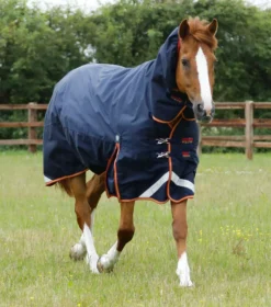 Premier Equine Titan Storm 450g Combo Turnout Rug With Snug-Fit Neck -Exquisite Equestrian Equipment Store titan storm 450 turnout rug navy 1 1 6 jpg