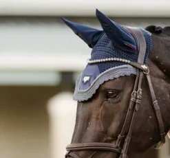 LeMieux Twilight Classic Browband -Exquisite Equestrian Equipment Store tracyrobertson twilight2022 022 3 jpg