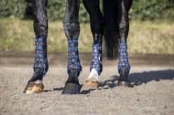 LeMieux Ultra Mesh Snug Boot - Pair -Exquisite Equestrian Equipment Store ultra mesh snug boot navy 5 4 jpg